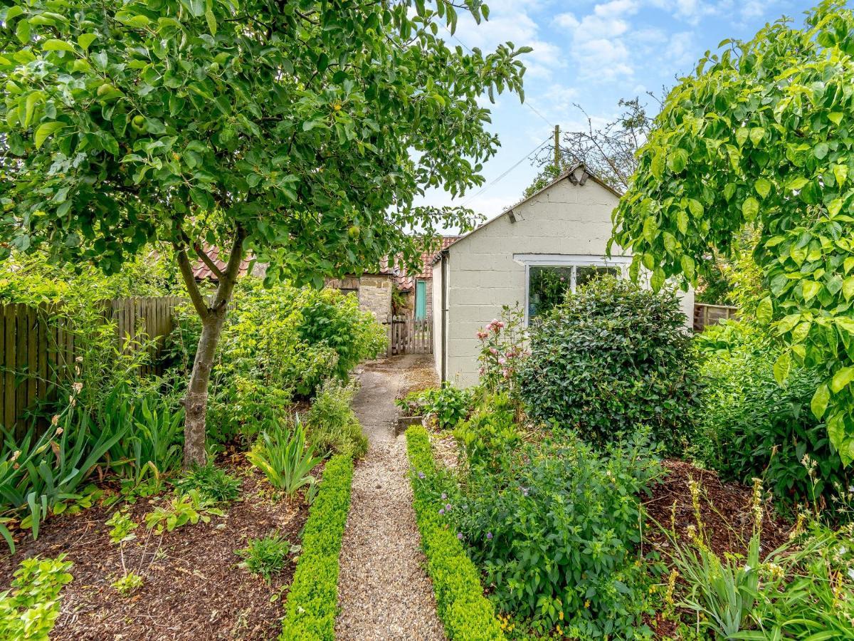 Lavender Cottage هلمسلي المظهر الخارجي الصورة